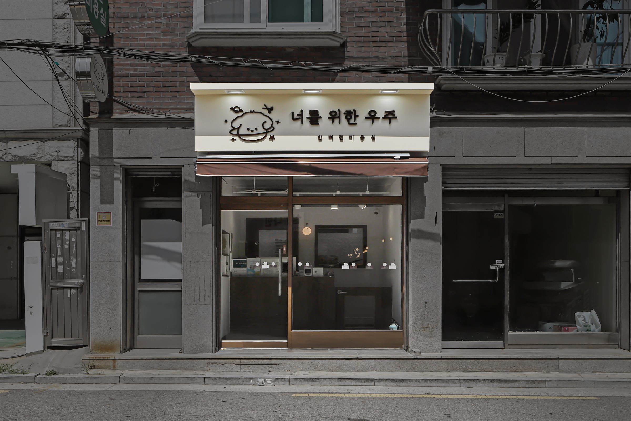 창동 애견미용실 사진 1