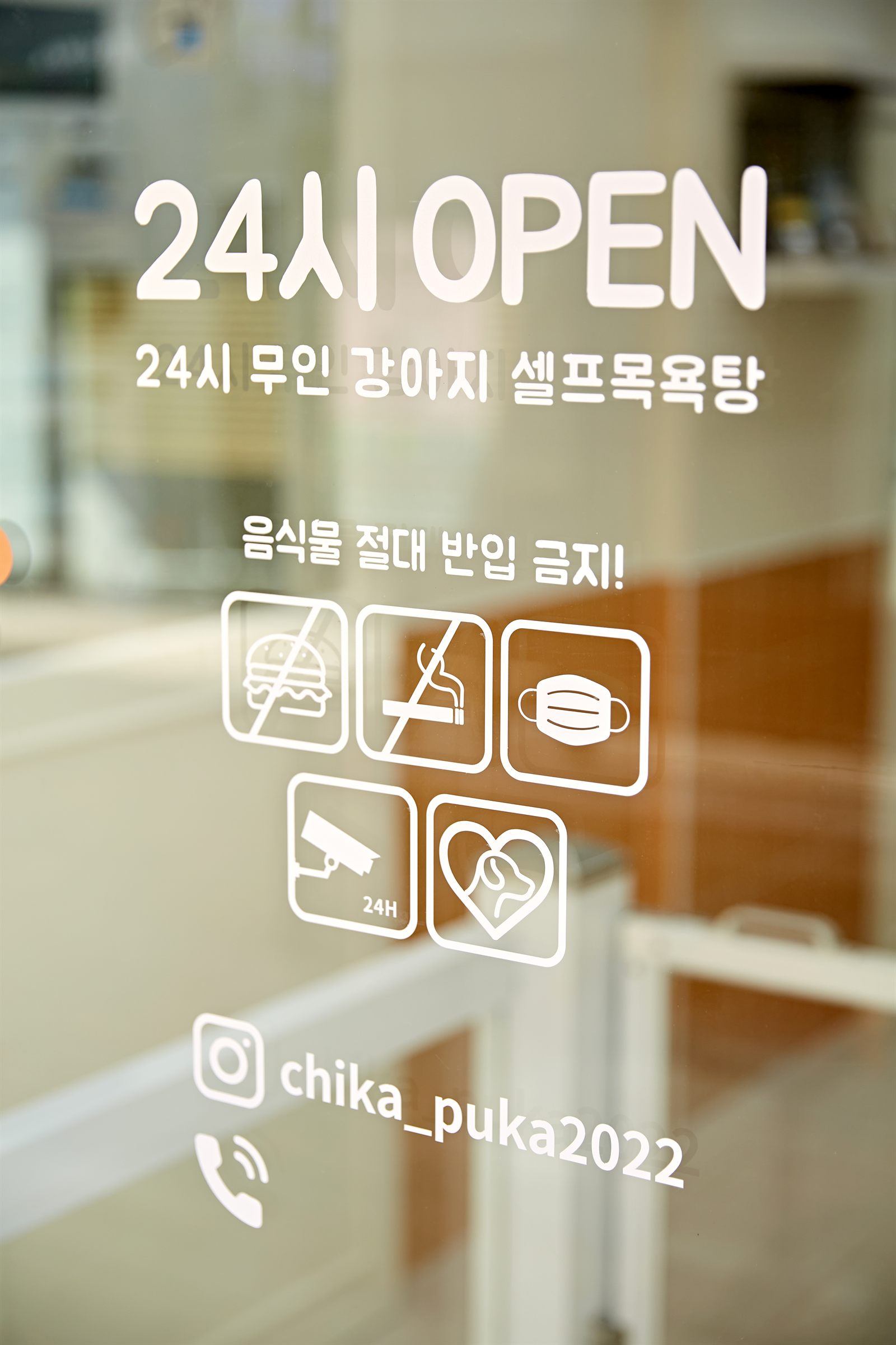 청라 애견셀프목욕 사진 9