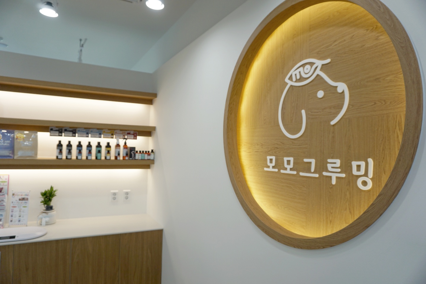 검단 애견미용실 사진 6