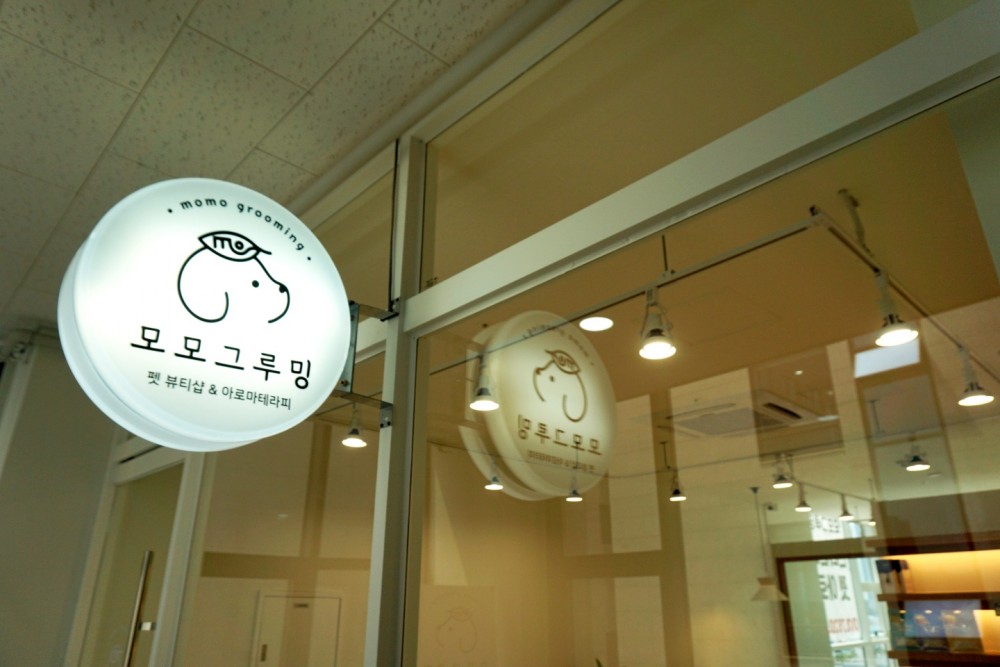 검단 애견미용실