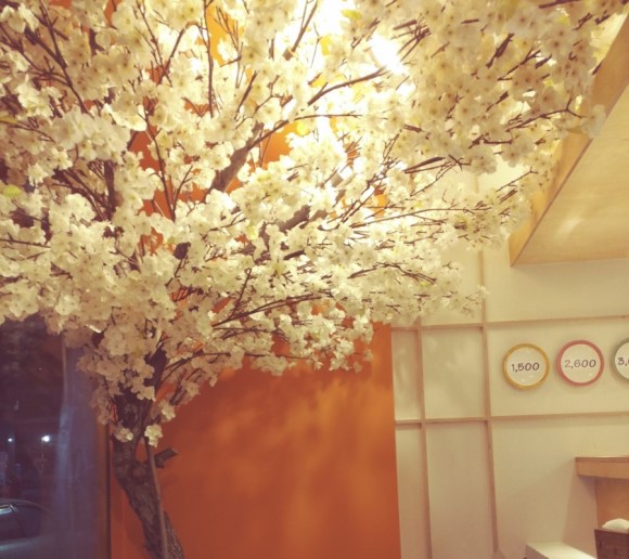 흑석동 회전초밥 사진 2