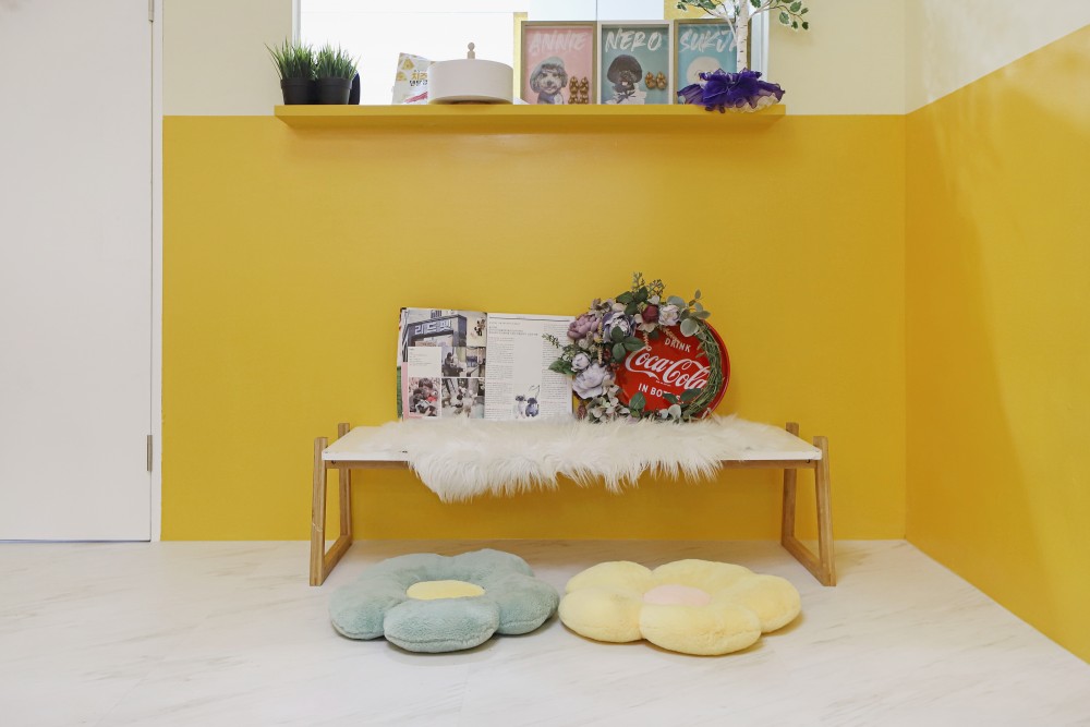 남양주 애견미용실