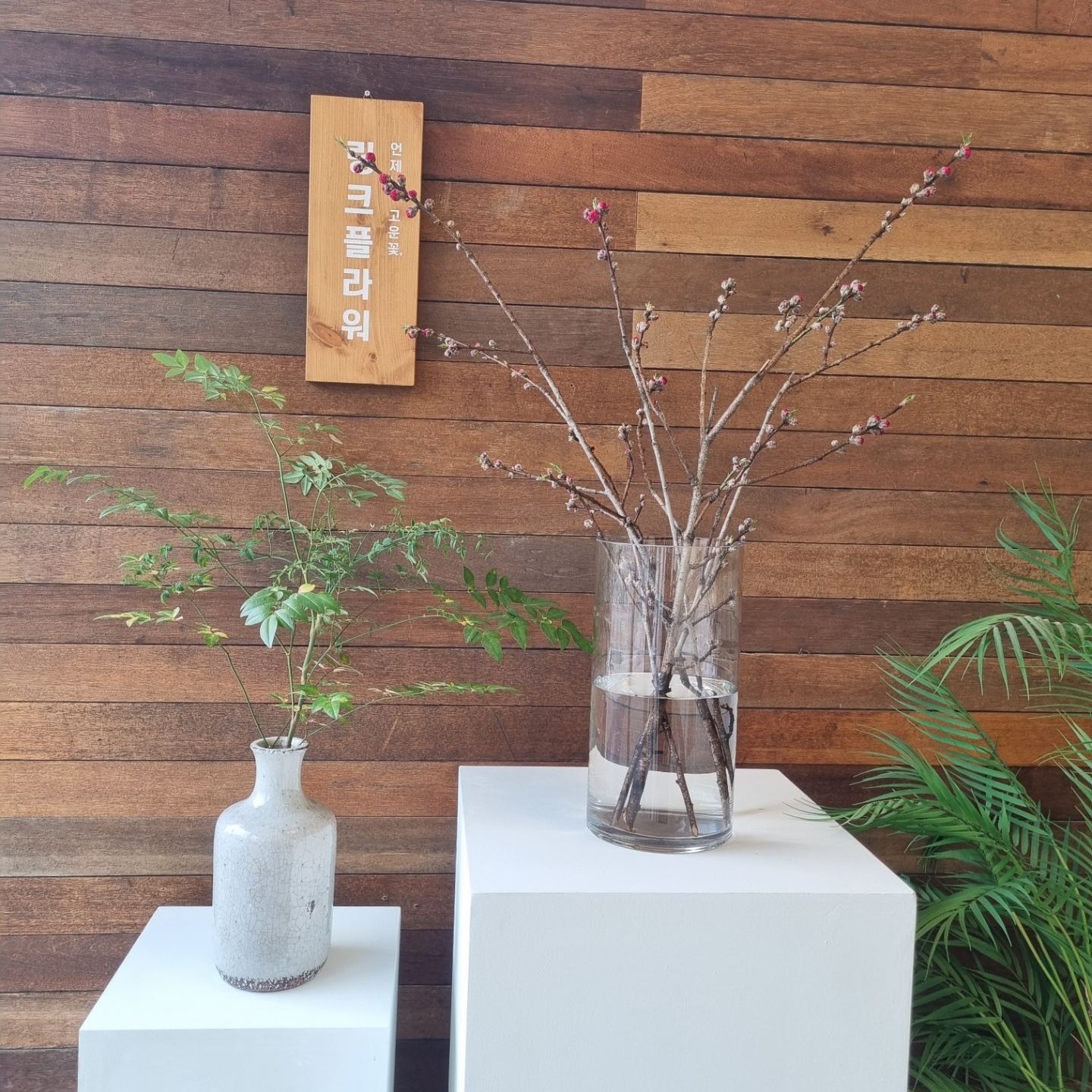 송도꽃집 사진 2