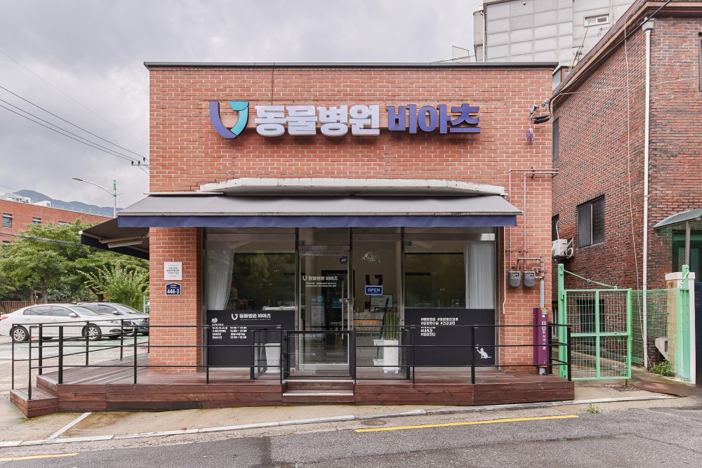 쌍문동 동물병원